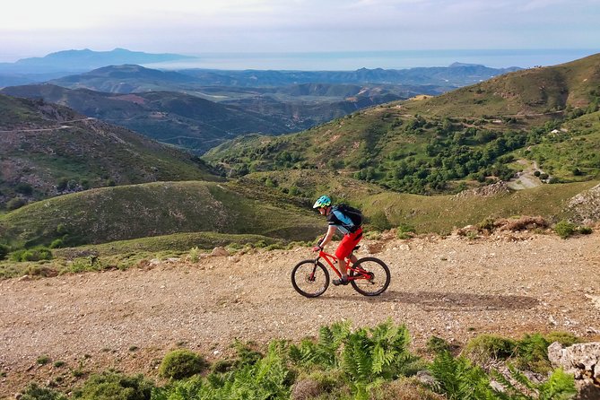 alquiler bici