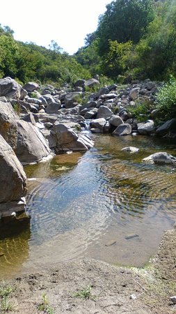 los pozos verdes