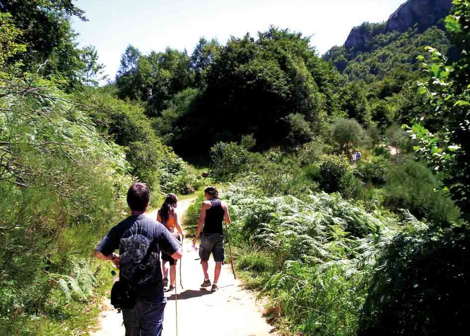 Actividades, prestadores y guías habilitados en la región de Río Ceballos